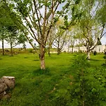 בית כפרי Quinta Chao Da Bispa