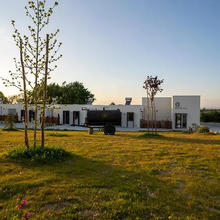 Quinta Chao Da Bispa Gospodarstwo wiejskie Oliveira do Hospital