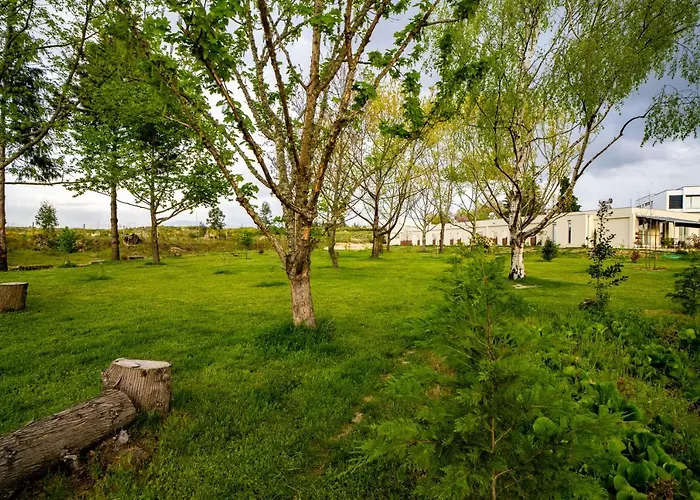 カントリーハウス Quinta Chao Da Bispa