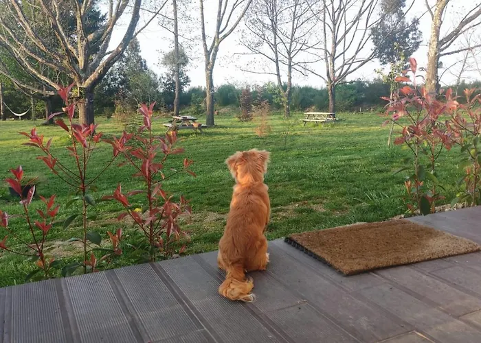 Летний дом Quinta Chao Da Bispa Оливейра-ду-Ошпитал